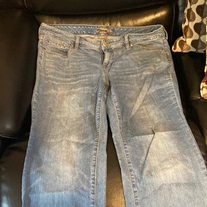 Torrid Jeans
